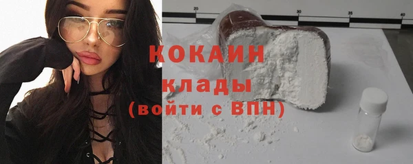 ешки Пересвет