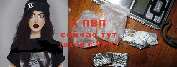 ешки Пересвет
