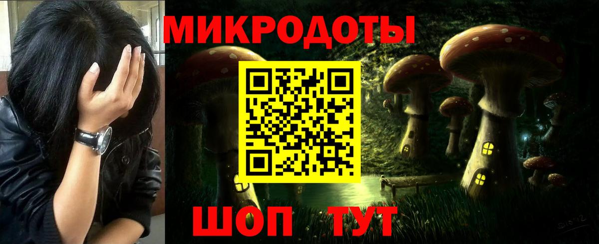Псилоцибиновые грибы мухоморы  магазин  наркотиков  Алапаевск  Вход с VPN 