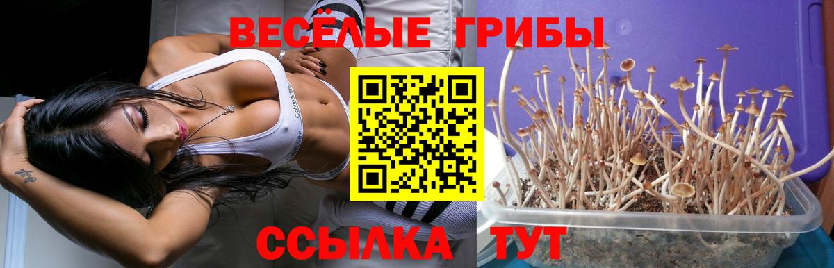 Псилоцибиновые грибы мухоморы Алапаевск