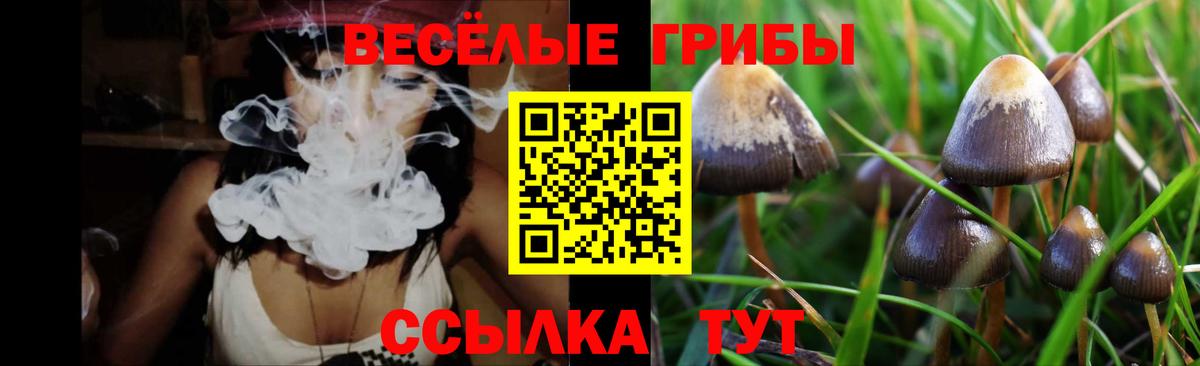 Галлюциногенные грибы мухоморы  Алапаевск 